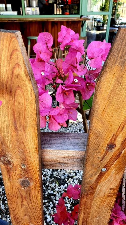 케메르 Flora Pansiyon Cirali 아파트 외부 사진